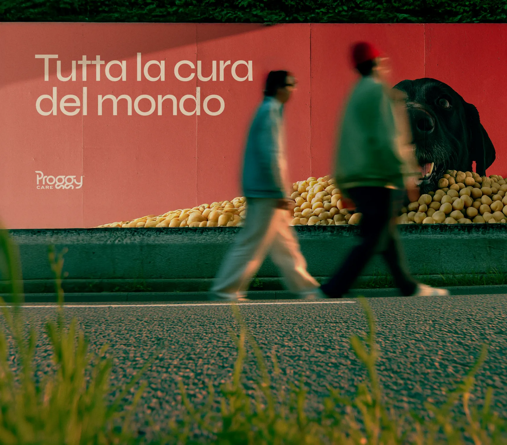 Immagine descrittiva