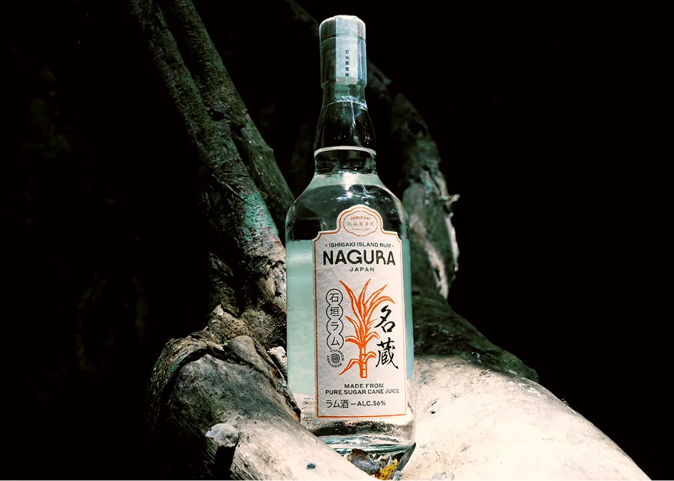 Immagine descrittiva