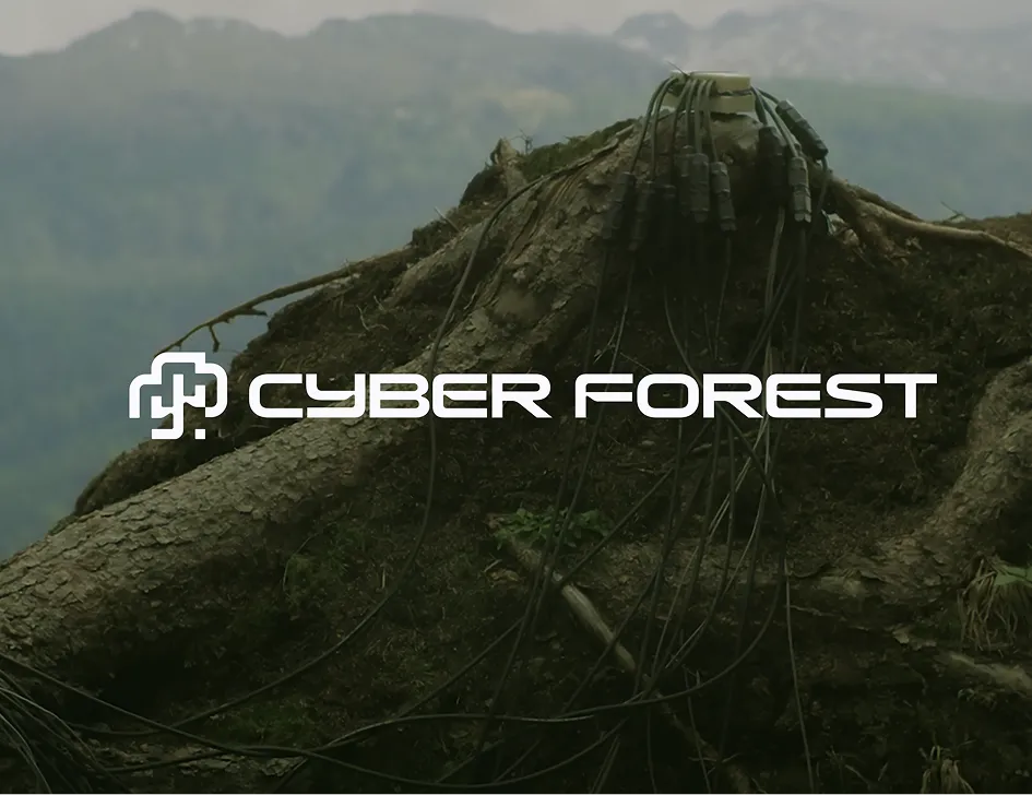 Albero in ambiente naturale dotato di sensori e cablaggi, visual identity del progetto CyberForest tra natura e tecnologia.